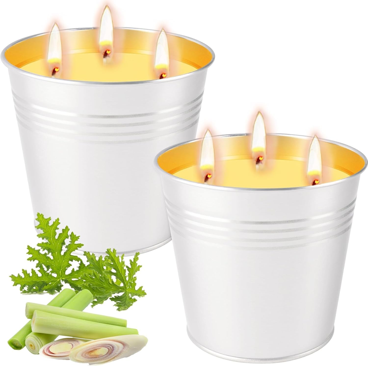 BentoBloom Citronella