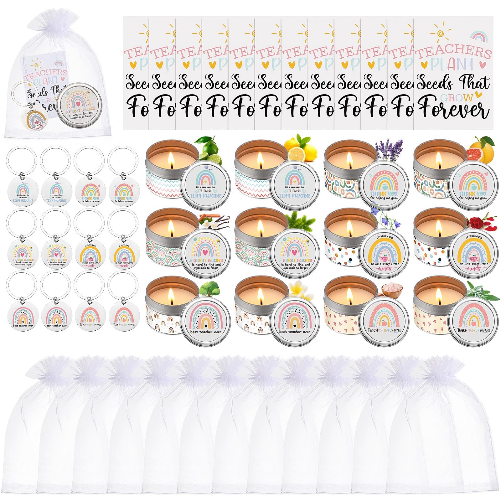 MTLEE Teacher Set
